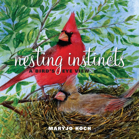 Cover image for book Nesting Instincts