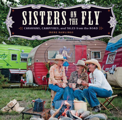 Cover image for book Sisters on the Fly