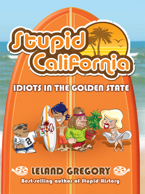 Cover image for book Stupid California