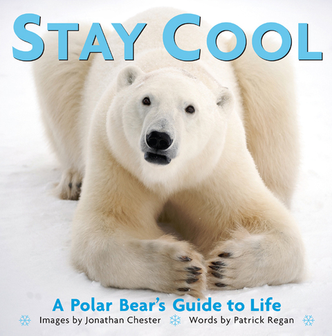 Cover image for book Stay Cool