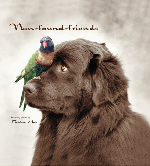 Cover image for book New-Found-Friends