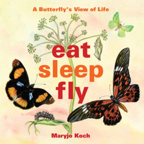 Cover image for book Eat, Sleep, Fly