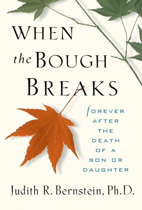 Cover image for book When the Bough Breaks