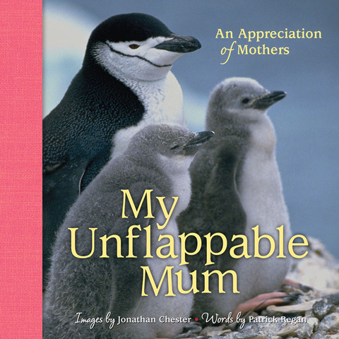 Cover image for book My Unflappable Mum