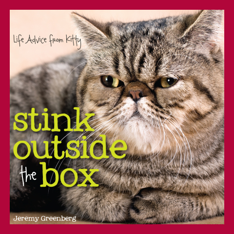 Cover image for book Stink Outside the Box