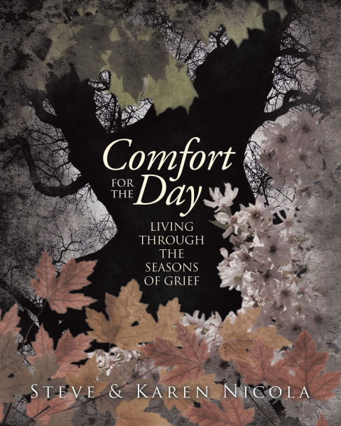 Cover image for book Comfort for the Day