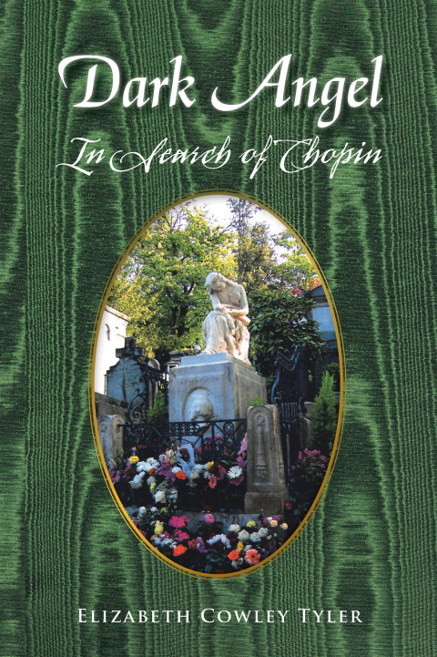 Cover image for book Dark Angel