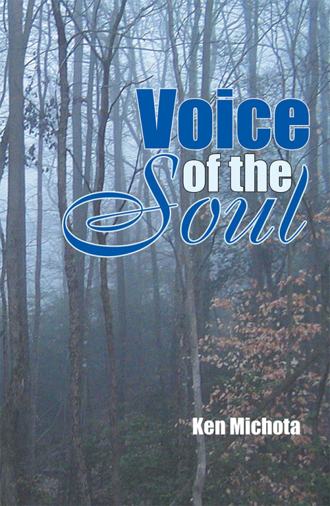 Cover image for book Voice of the Soul