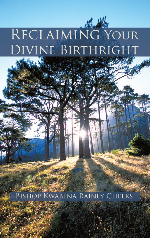 Cover image for book Reclaiming Your Divine Birthright