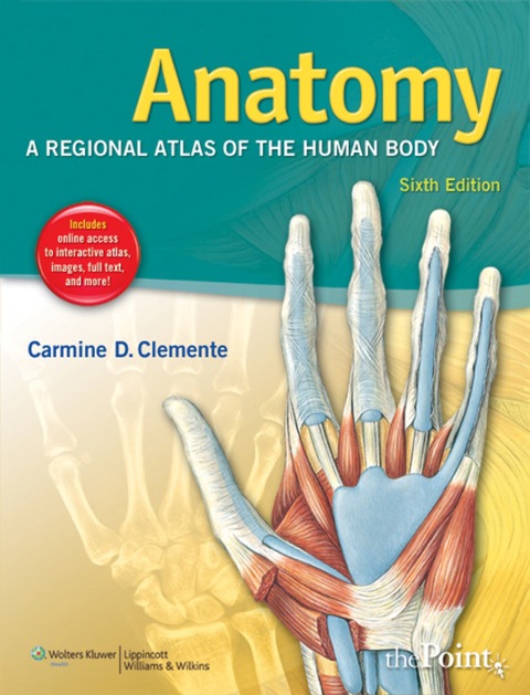 Cover image for book Anatomy: A Regional Atlas of the Human Body