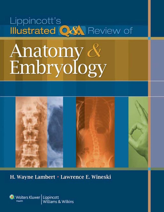 Lippincotts Illustrated Q and a Review of Anatomy and Embryology