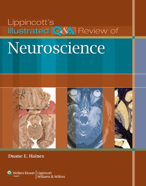 Cover image for book Lippincott's Illustrated Q&A Review of Neuroscience