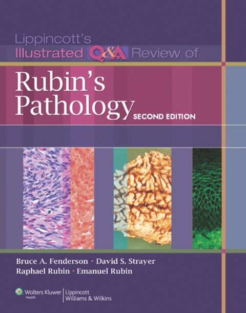 Cover image for book Lippincott's Illustrated Review of Rubin's Pathology