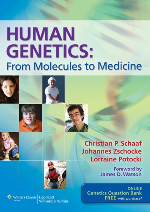 Cover image for book Human Genetics: From Molecules to Medicine