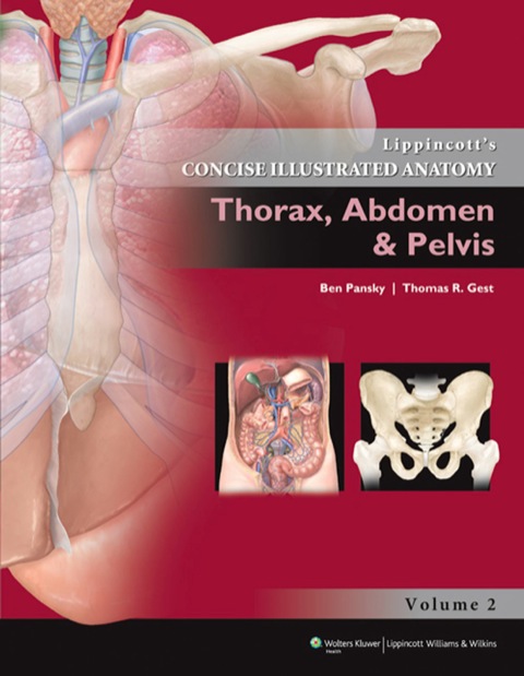 Cover image for book Lippincott's Concise Illustrated Anatomy: Thorax, Abdomen & Pelvis