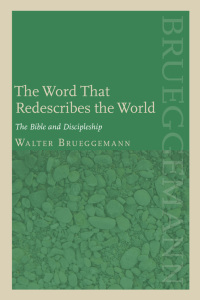 Cover image: Word that Redescribes the World 9780800638146