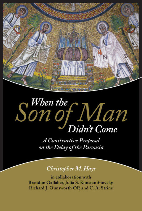 Cover image for book When the Son of Man Didn't Come: A Constructive Proposal on the Delay of the Parousia