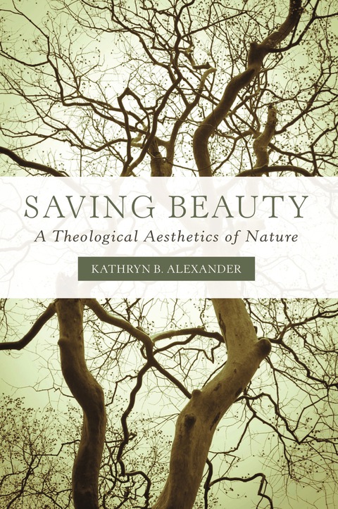 Cover image for book Saving Beauty