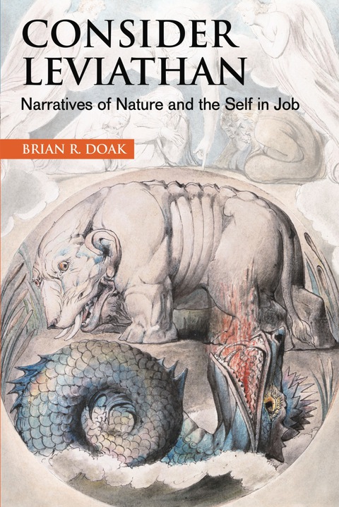 Cover image for book Consider Leviathan: Narratives of Nature and the Self in Job