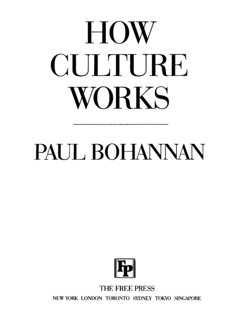 Cover image for book How Culture Works