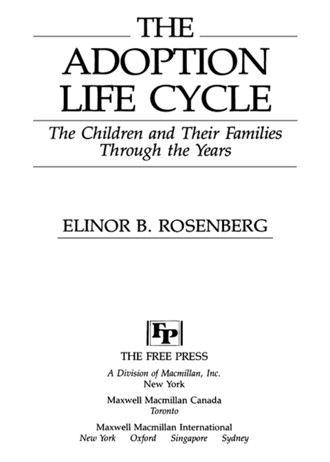 Cover image for book Adoption Life Cycle
