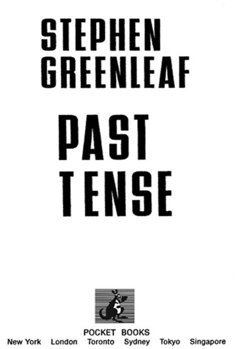 Cover image for book Past Tense