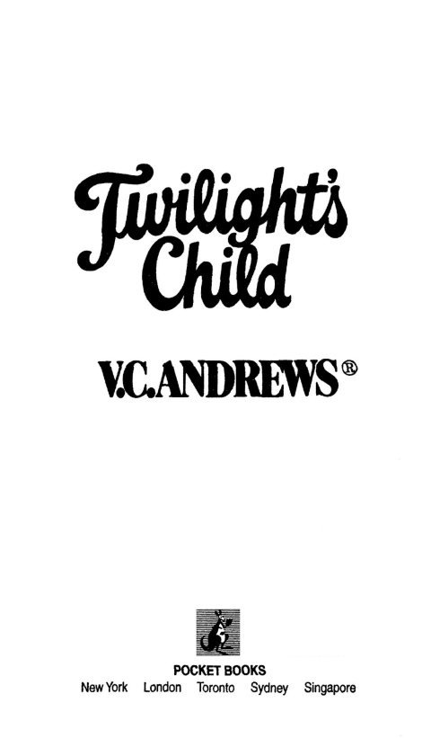 Cover image for book Twilight's Child