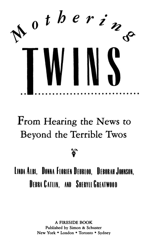 Cover image for book Mothering Twins