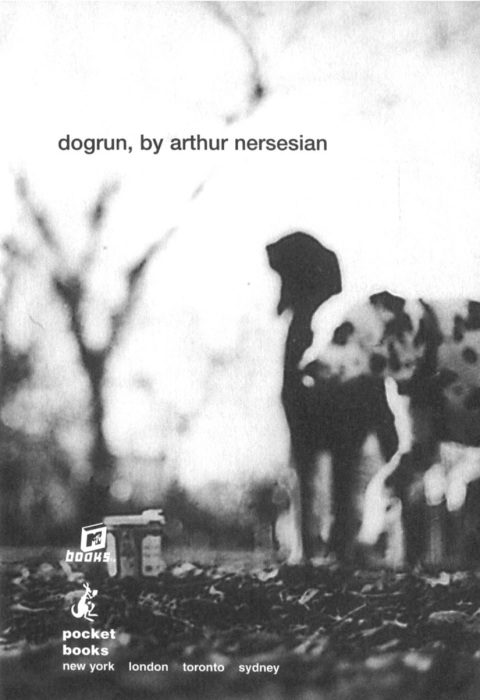 Cover image for book Dogrun