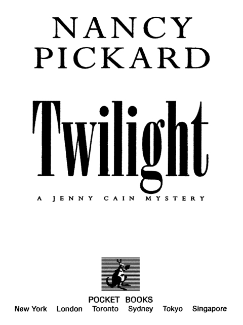 Cover image for book Twilight