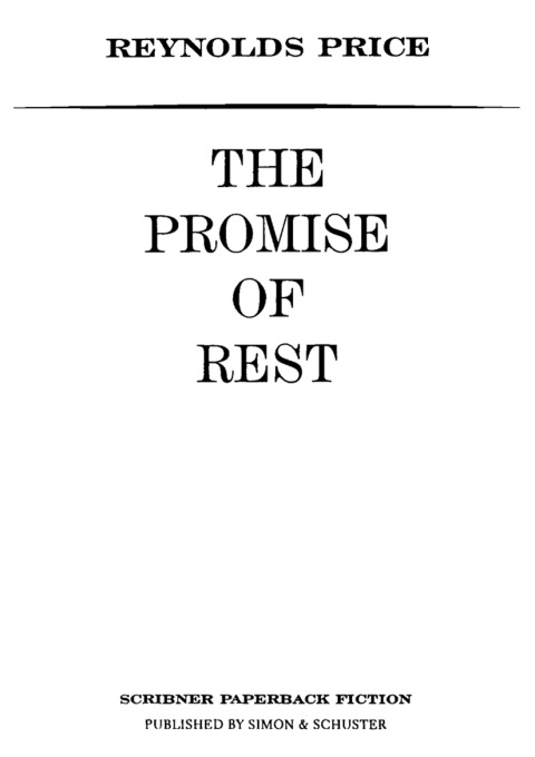 Cover image for book The Promise of Rest