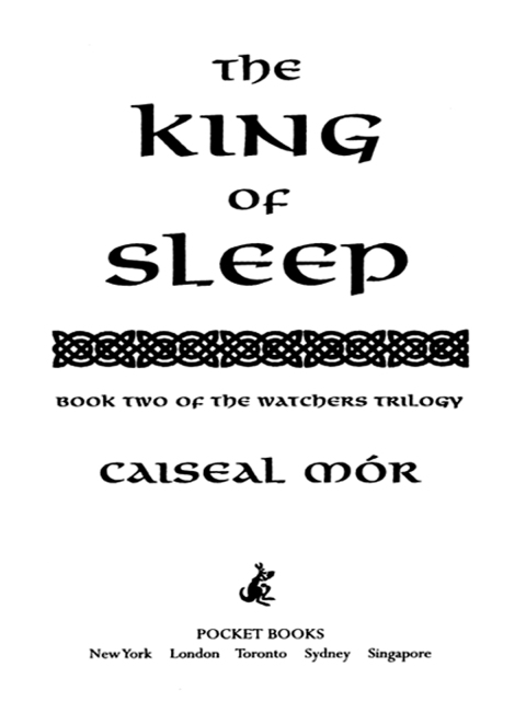 Cover image for book The King of Sleep