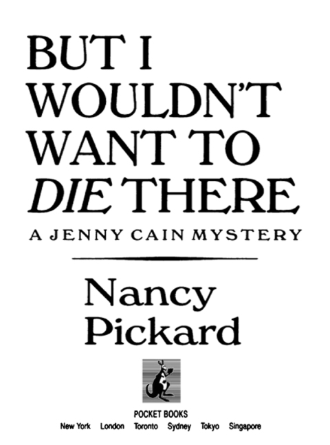 Cover image for book But I Wouldn't Want to Die There