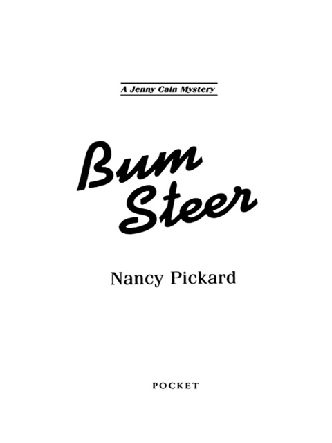 Cover image for book Bum Steer