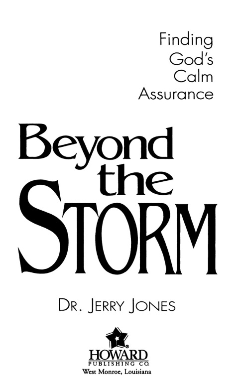Cover image for book Beyond the Storm