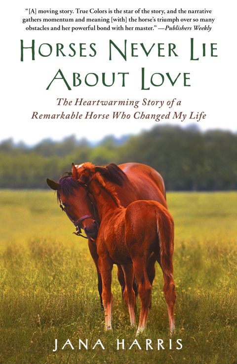 Cover image for book Horses Never Lie about Love