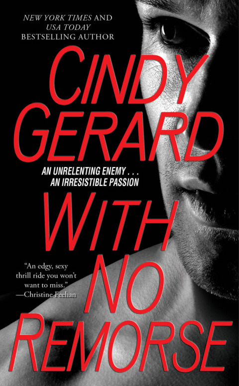 Cover image for book With No Remorse