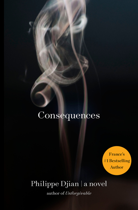 Cover image for book Consequences