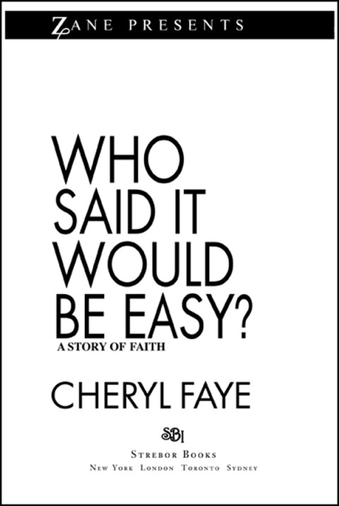 Cover image for book Who Said It Would Be Easy?