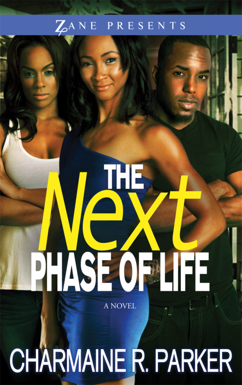 Cover image for book The Next Phase of Life