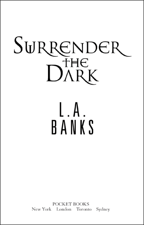 Cover image for book Surrender the Dark