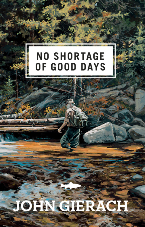 Cover image for book No Shortage of Good Days