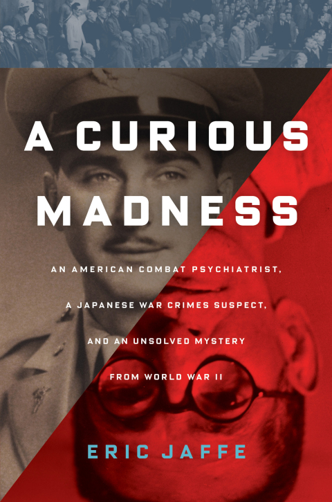 Cover image for book A Curious Madness