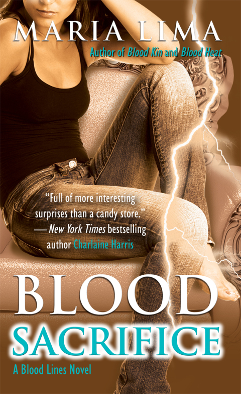 Cover image for book Blood Sacrifice