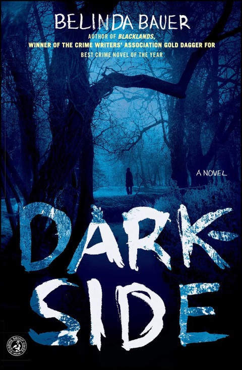 Cover image for book Darkside