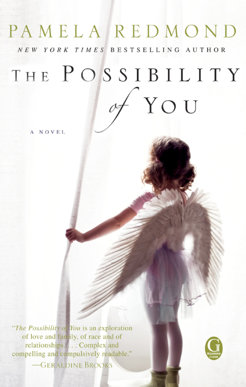 Cover image for book The Possibility of You