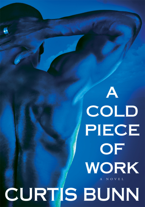 Cover image for book A Cold Piece of Work