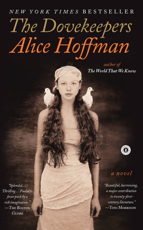 Cover image for book The Dovekeepers
