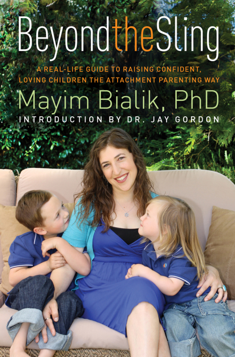 Cover image for book Beyond the Sling