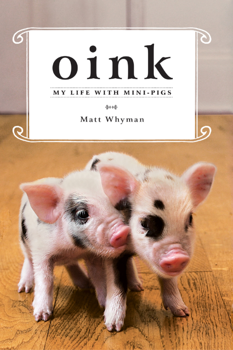 Cover image for book Oink